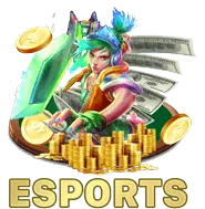 Chương trình VIP và ưu đãi đặc biệt